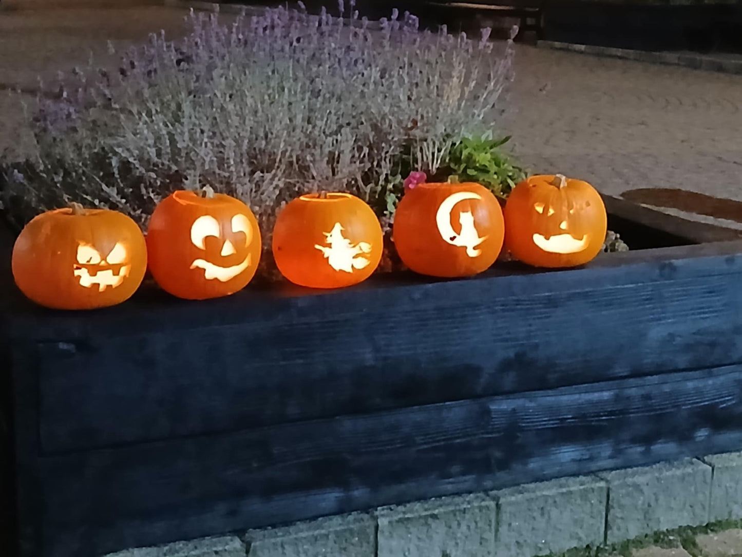 Tiffins - *Design and Carve Your Own Pumpkin Workshop (Adults)* - Sat 25th Oct