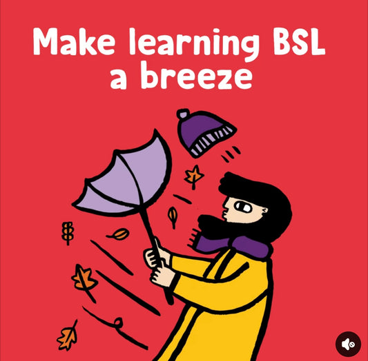 BSL learn together. Sense BSL group.