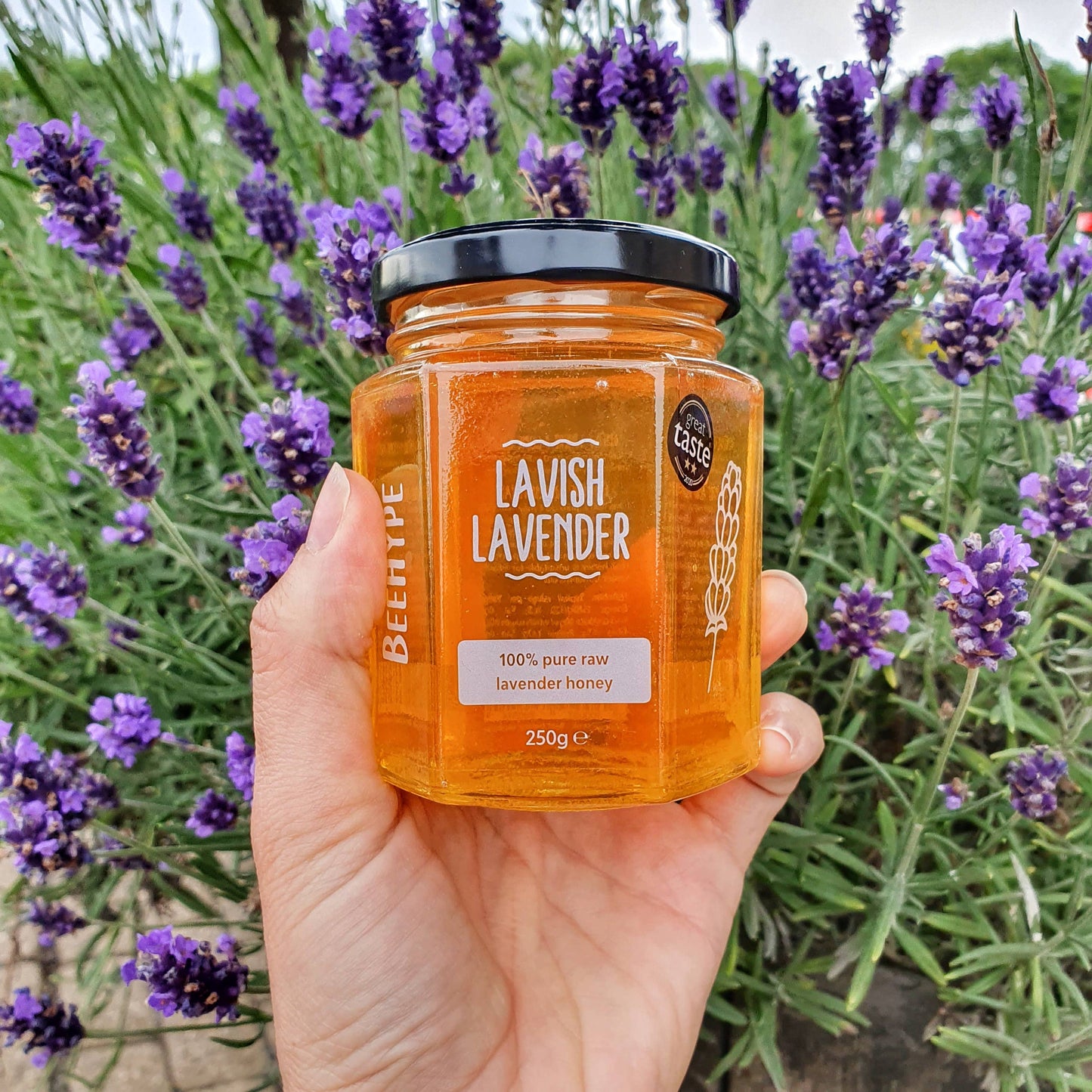 Lavish Lavender Raw Honey - Gourmet Honey Naturally Made By